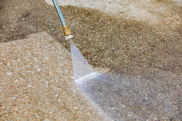 Best Building Exterior Washing  in Homewood, IL